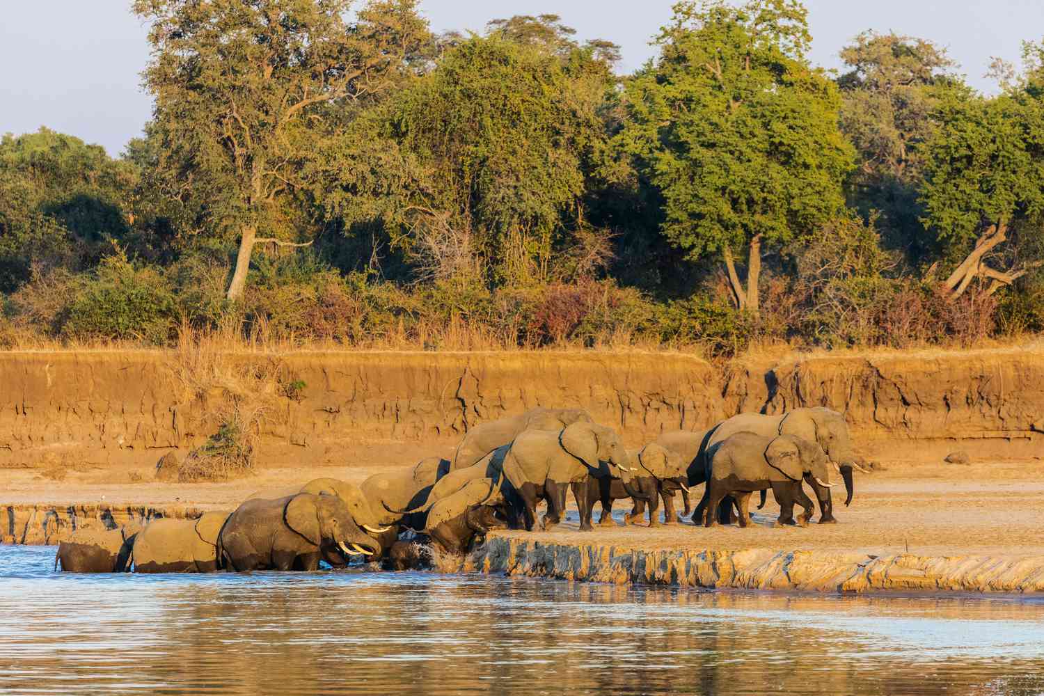 South Luangwa National Park for two days