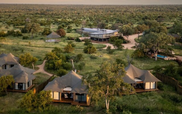 Timbavati Private Nature Reserve to Johannesburg