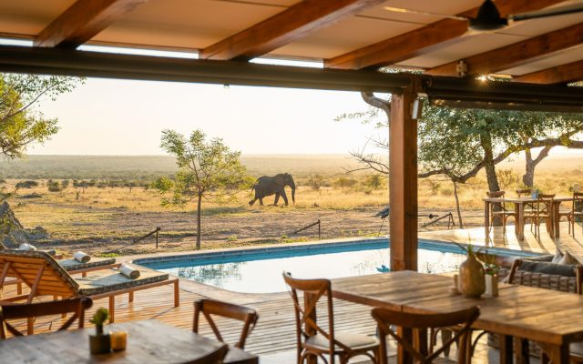 5-Day Timbavati Walkers Plains Camp