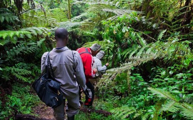 Uganda Packing List