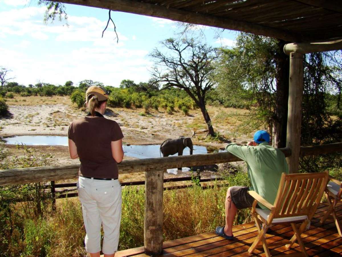 Uganda Safari FAQs — Uganda safari travel guide
