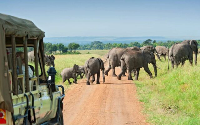 12 Day Uganda Explorer Safari