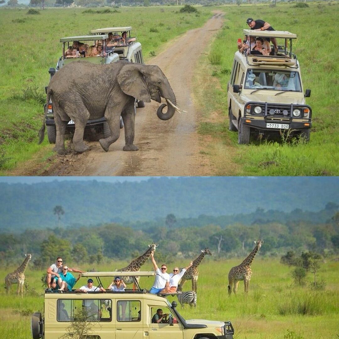 Uganda Tour Cost Guide 2026 — Uganda safari travel guide