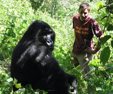 Uganda vs Rwanda Gorilla Trekking