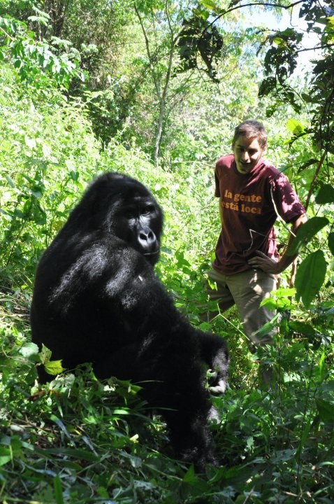 Uganda vs Rwanda Gorilla Trekking — Uganda safari travel guide