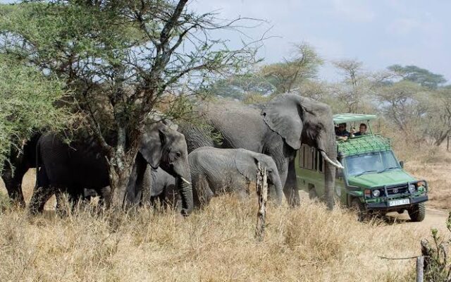 Adventure Travel in Uganda