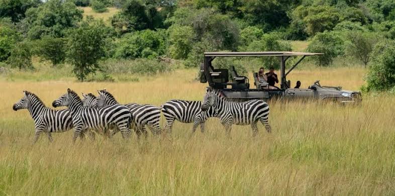 akagera national park