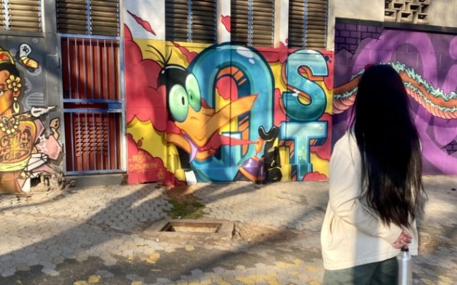 1-Day Private Custom Art Tour in Johannesburg