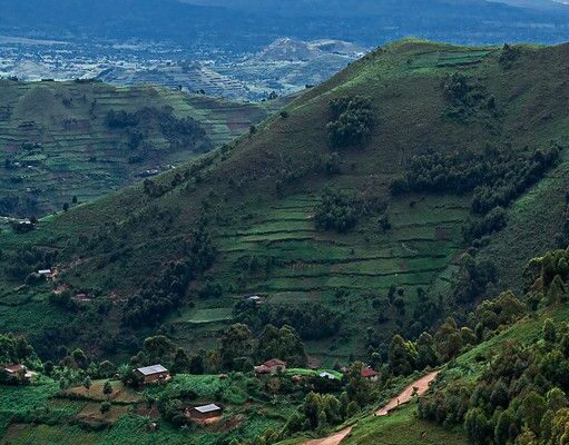 Uganda Border Crossings