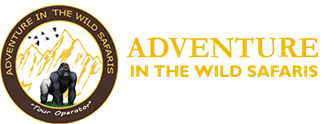 Adventure in the wild safaris Limited