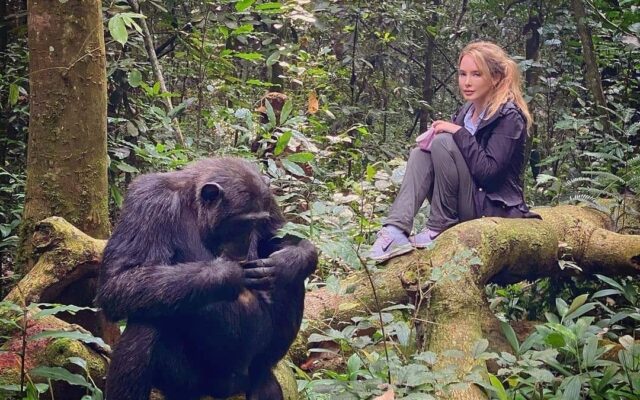 How Much Does a Uganda Safari Cost