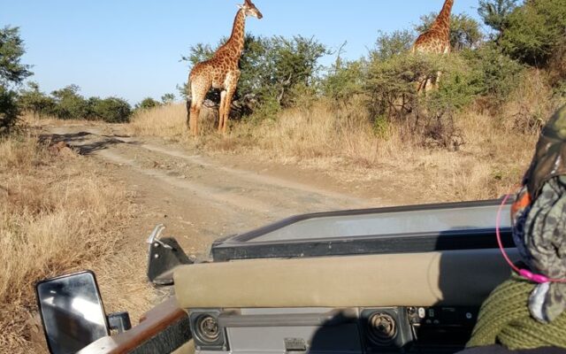 Uganda Safari Cost Per Person
