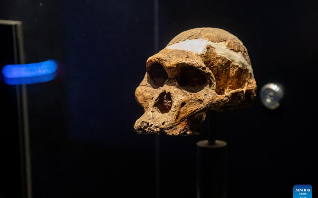 1-Day Private Custom Cradle of Humankind Tour
