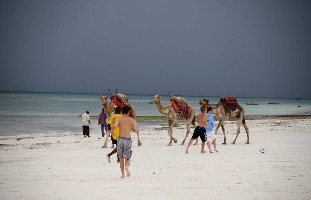 diani beach from tsavo east kenya