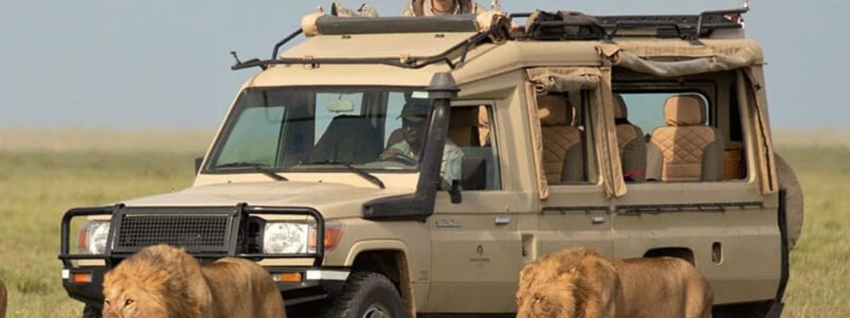 game drives