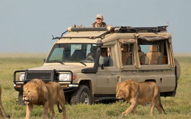 Game Drives in Uganda