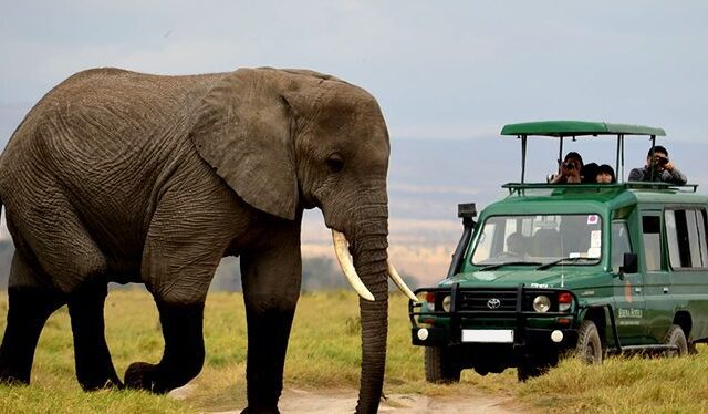 7 Day Rwanda Gorilla and Wildlife