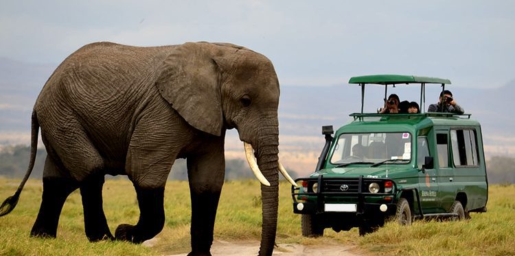 game drives at akagera