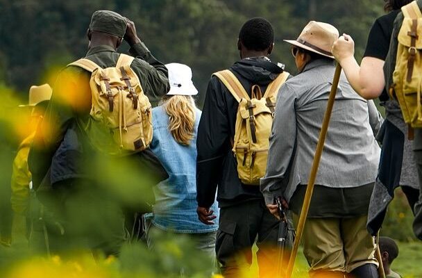 Budget Gorilla Trekking Uganda Cost