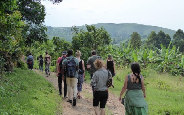 Group Uganda Safari Cost