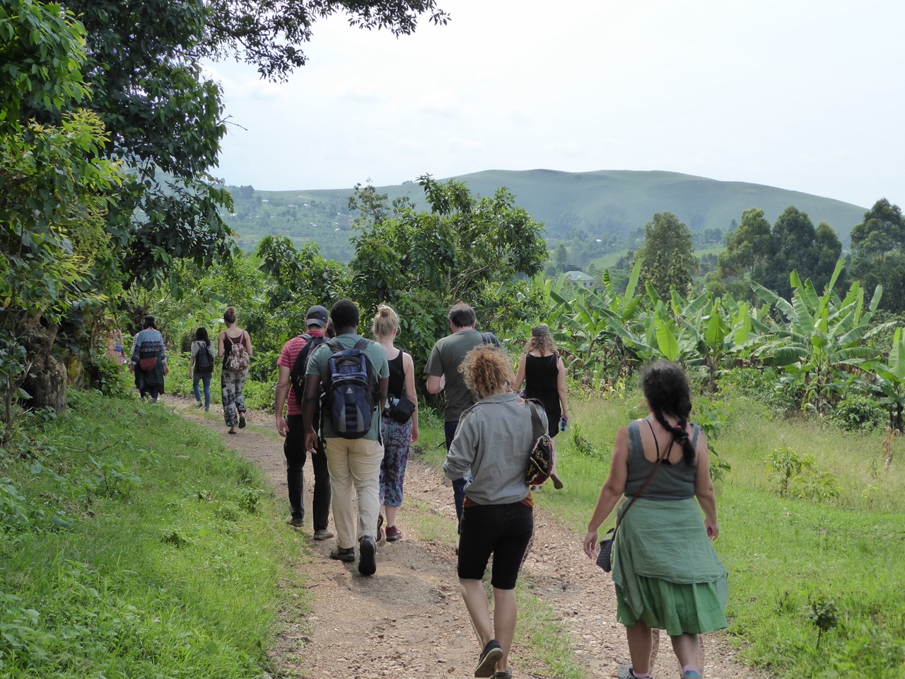Group Uganda Safari Cost — Uganda safari travel guide