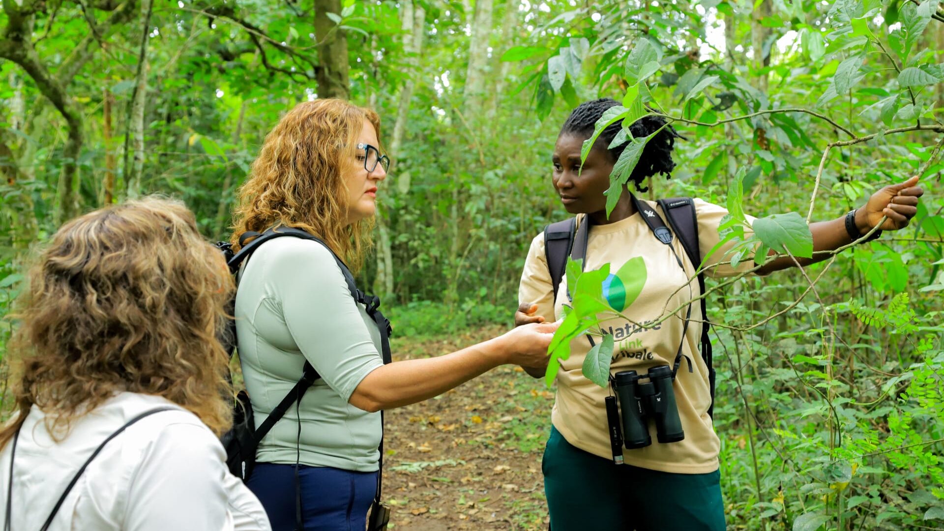 Guided Uganda Safari Cost — Uganda safari travel guide