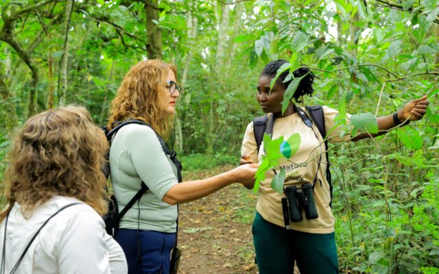 Guided Uganda Safari Cost