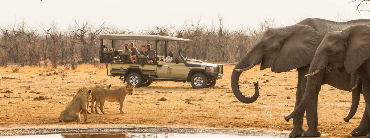 lion elephant chobe