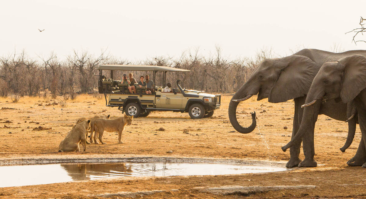 lion elephant chobe