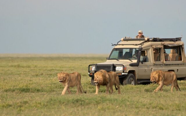 Long Uganda Safaris