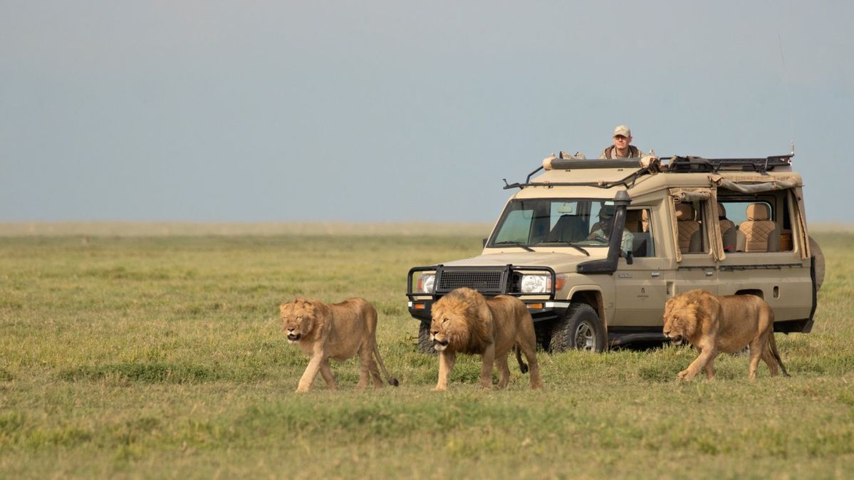 Long Uganda Safaris — Uganda safari travel guide