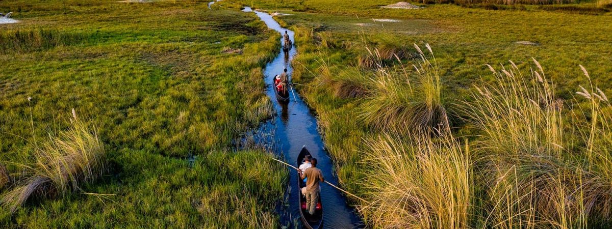 moremi-khwai-concession-safari