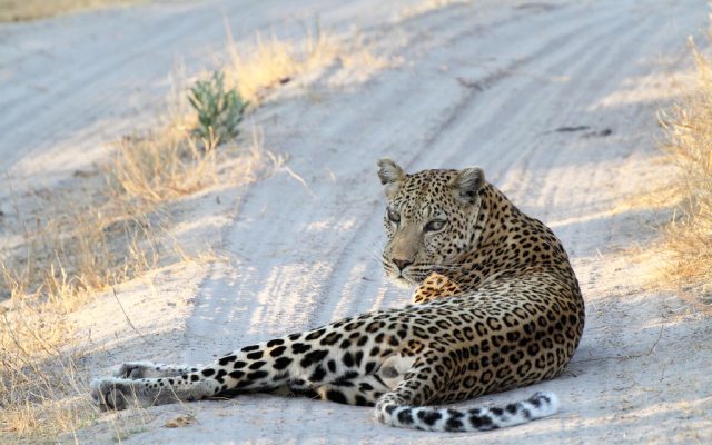 5-Day Botswana Kd 4 Nights Luxury Package