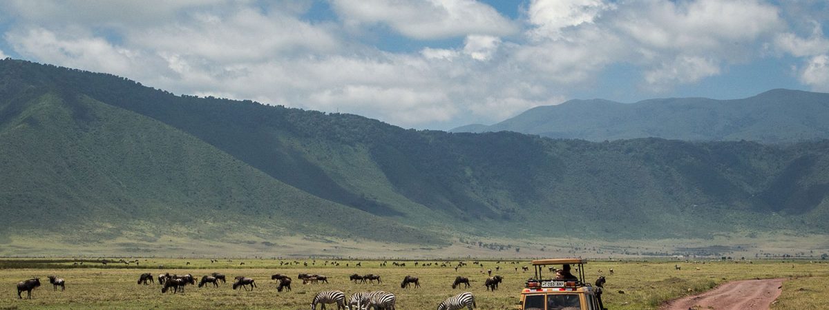ngorongoro special safari