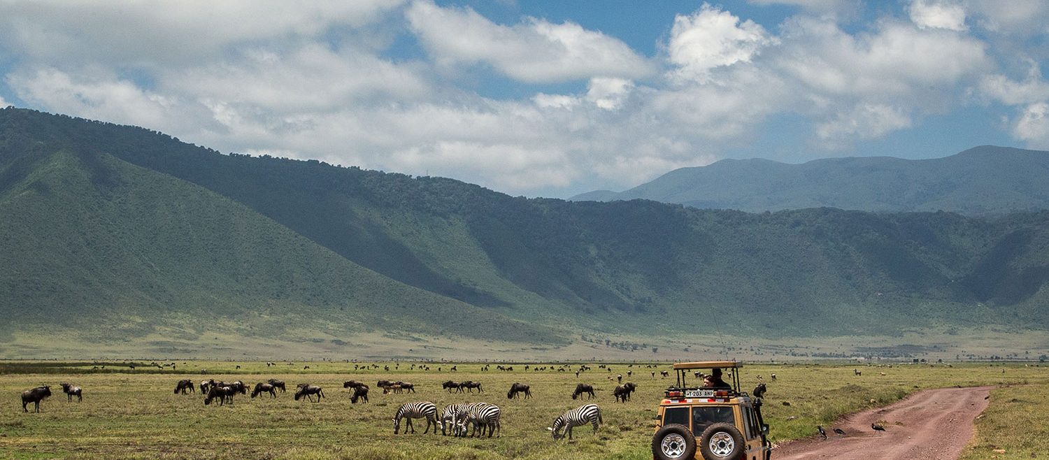 ngorongoro special safari