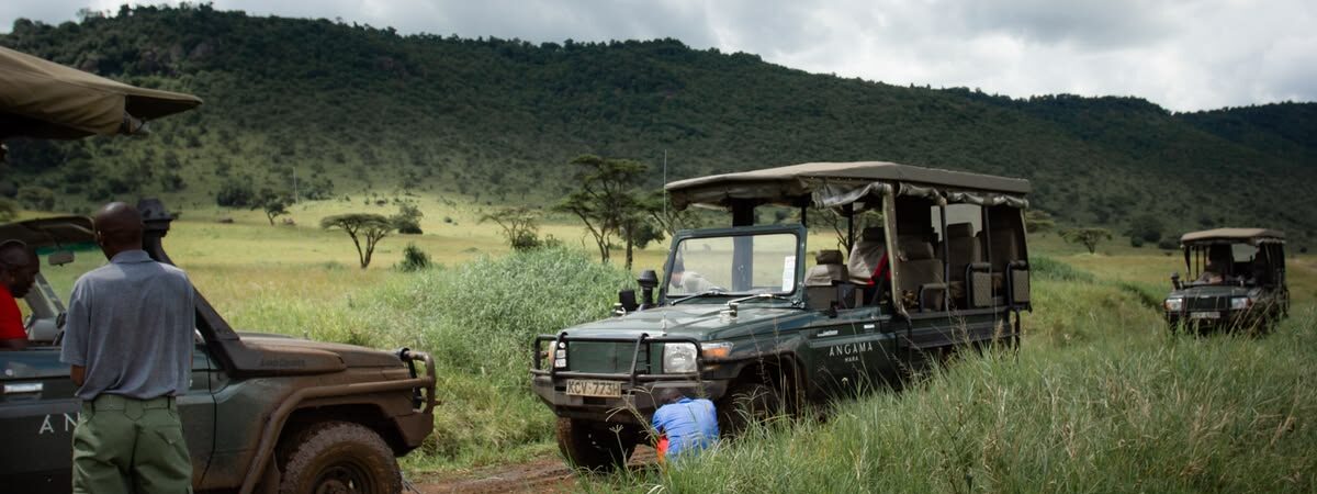 night game drives