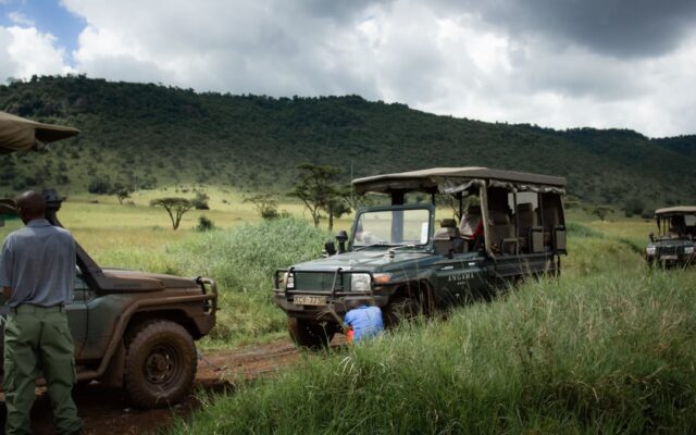 Night Game Drives in Uganda