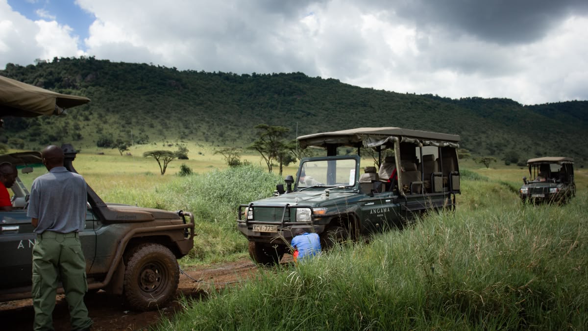 Night Game Drives in Uganda — Uganda safari travel guide