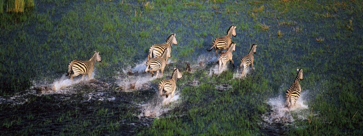 okavango-2