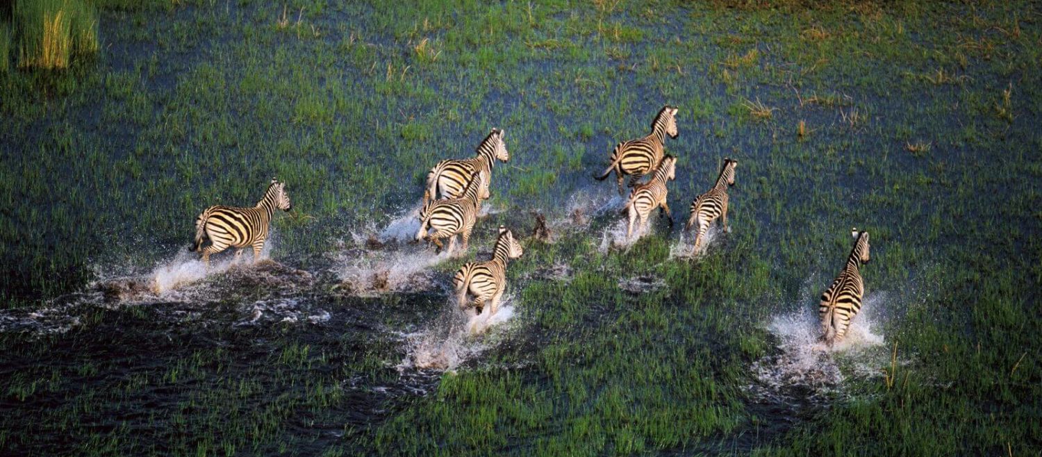 okavango-2