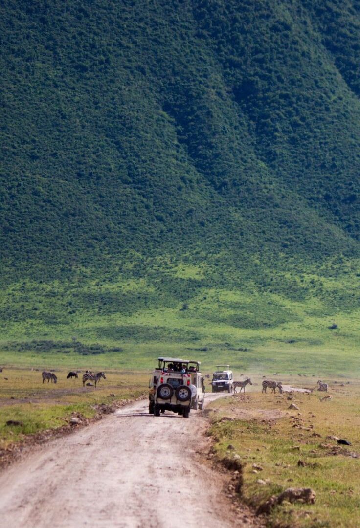 Road Safaris in Uganda — Uganda safari travel guide