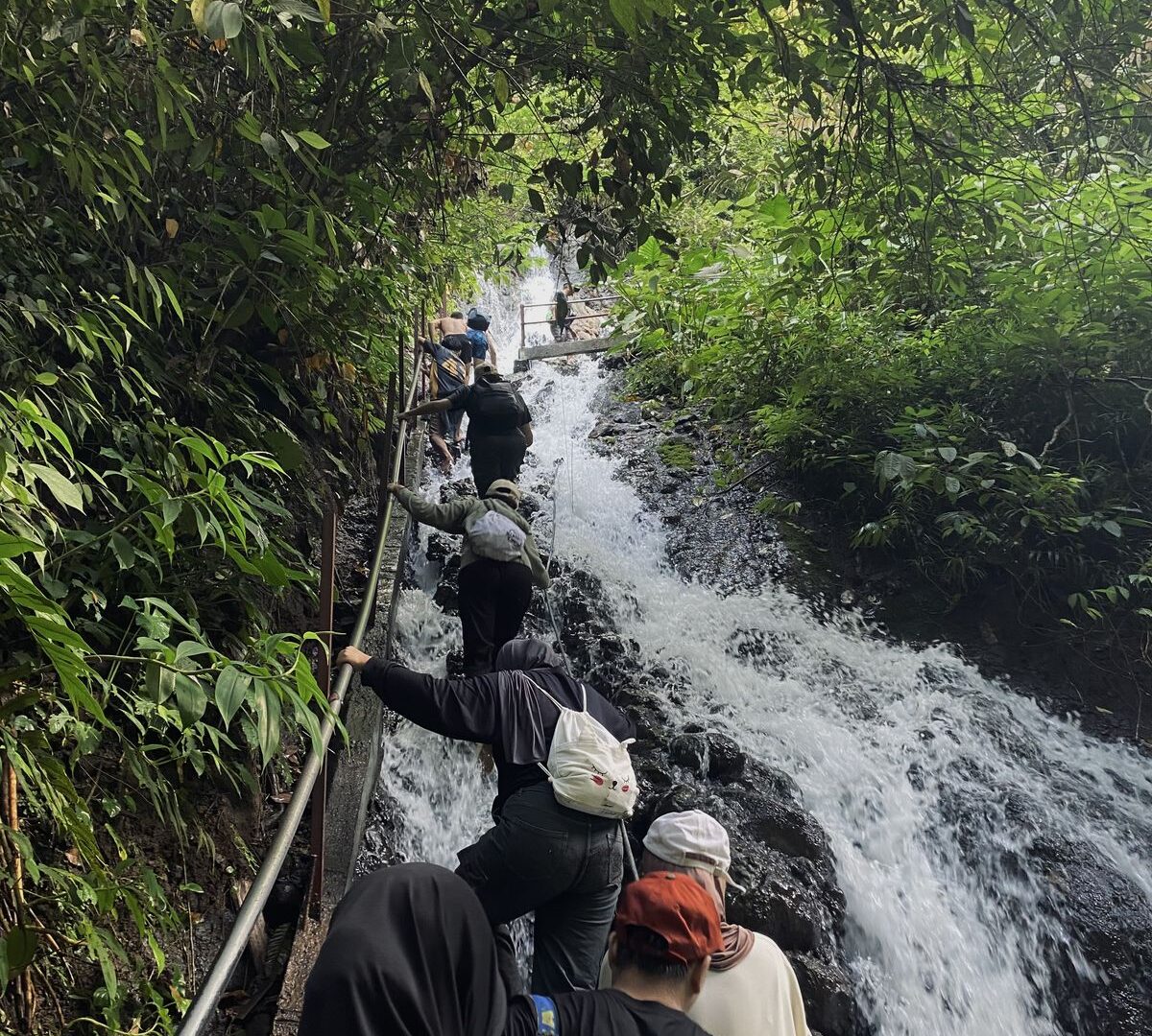Uganda Safari Deals — Uganda safari travel guide