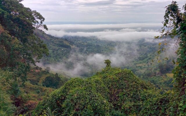 Kapchorwa