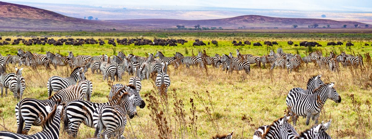tanzania-national-park
