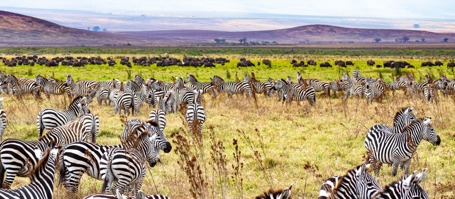 tanzania-national-park