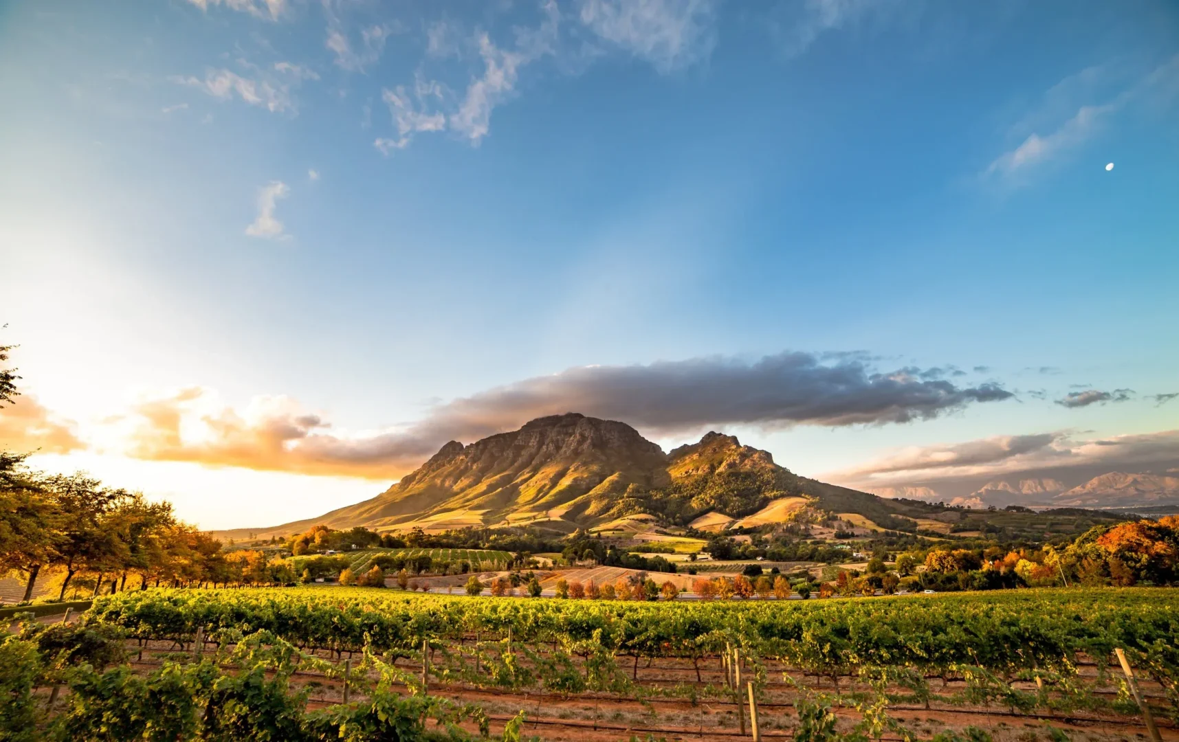 the historic town of Stellenbosch in the heart of the Cape Winelands