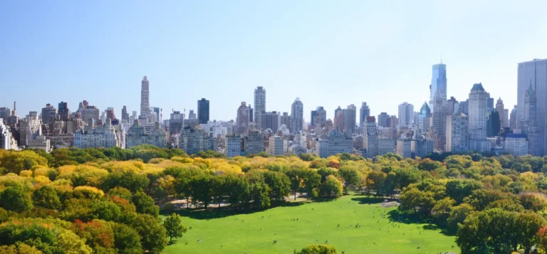 the park