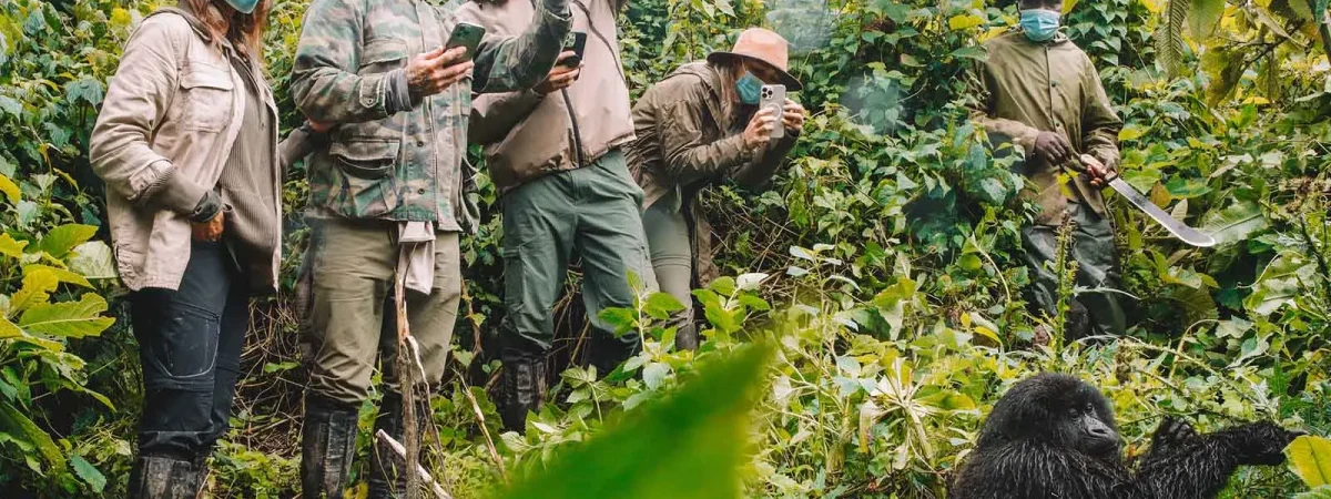 Tourists enjoying a Gorilla trek in Bwindi