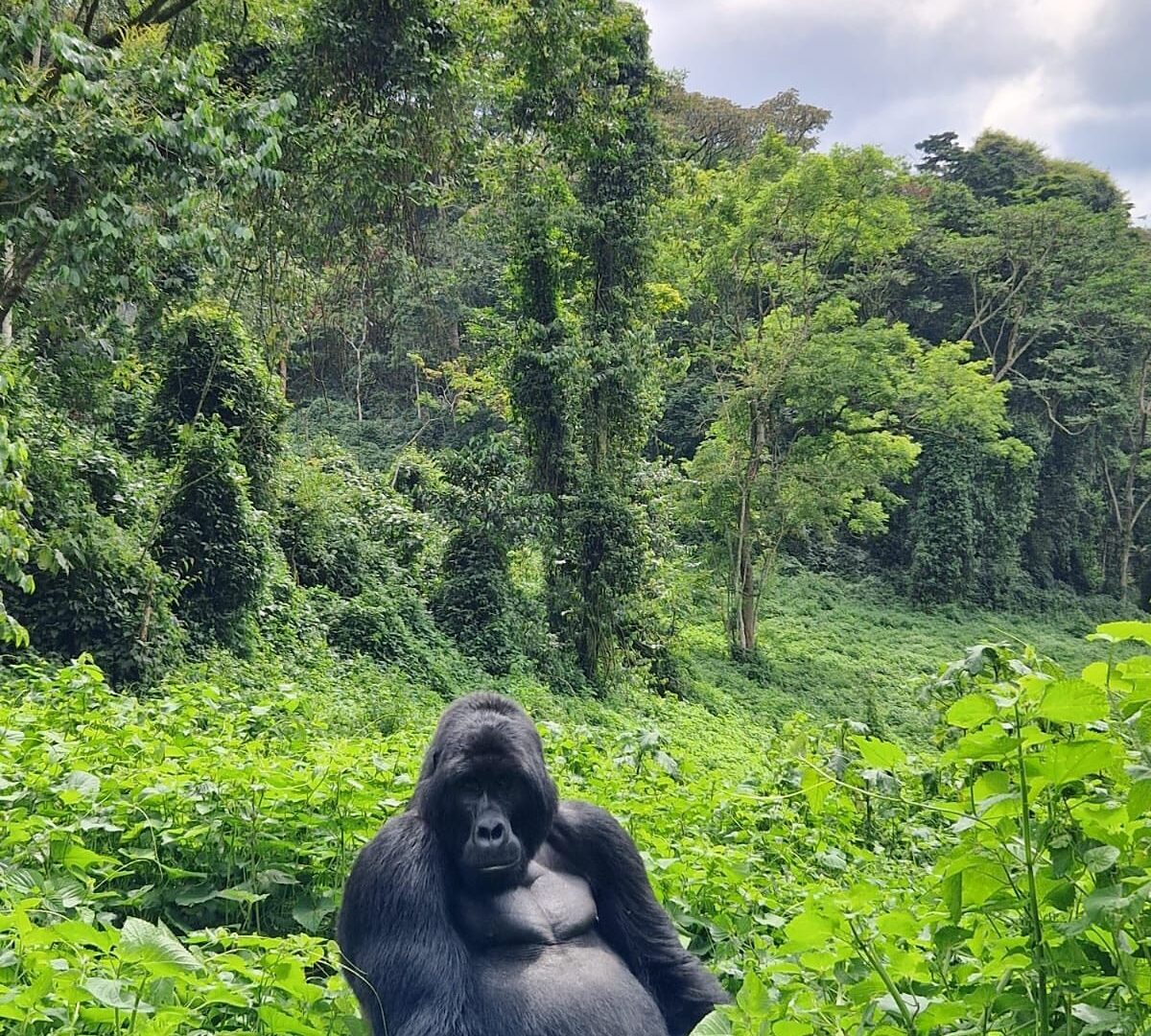 Money in Uganda — Uganda safari travel guide