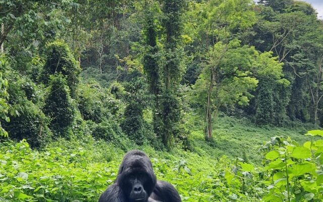 Money in Uganda